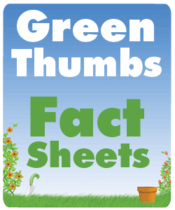 GreenThumbs Fact Sheets